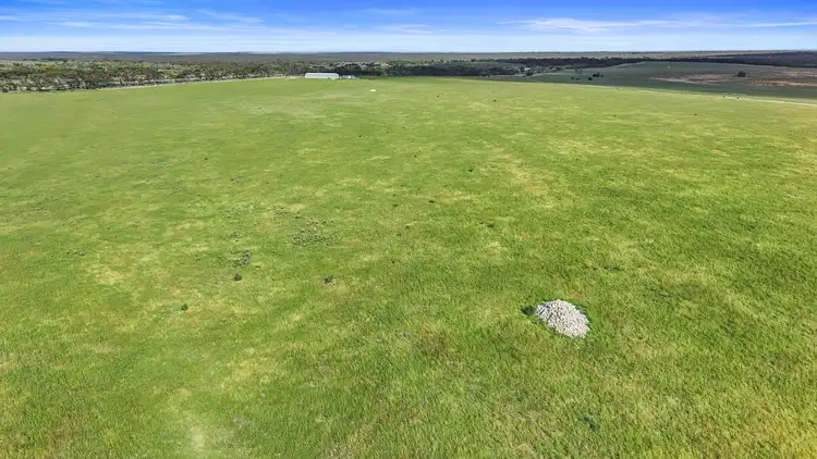 Sixth view of Homely rural property listing, 54 Army Road, Burdett SA 5253