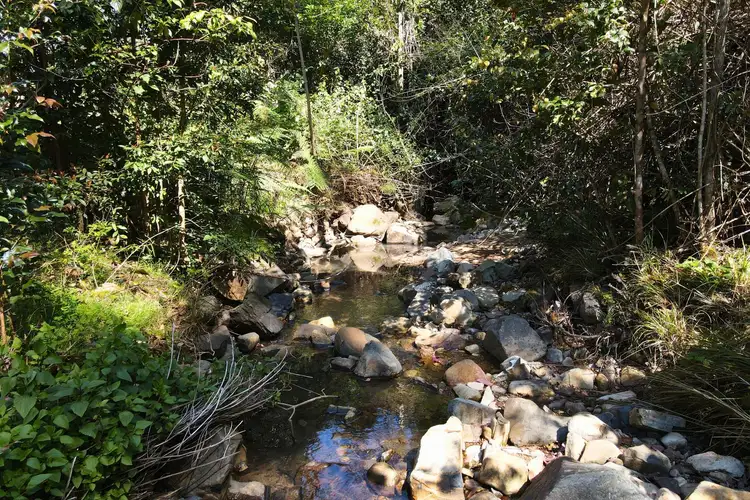 Fourth view of Homely rural property listing, 251 Moores Road, Dungog NSW 2420