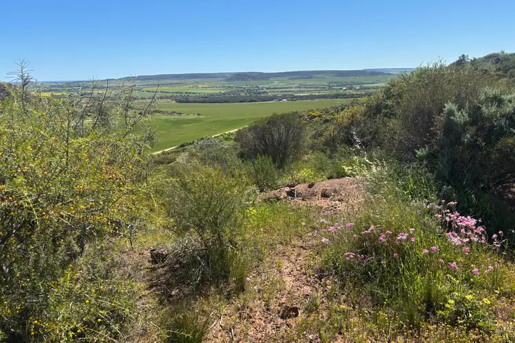 9500 Chapman Valley Road, Narra Tarra WA 6532