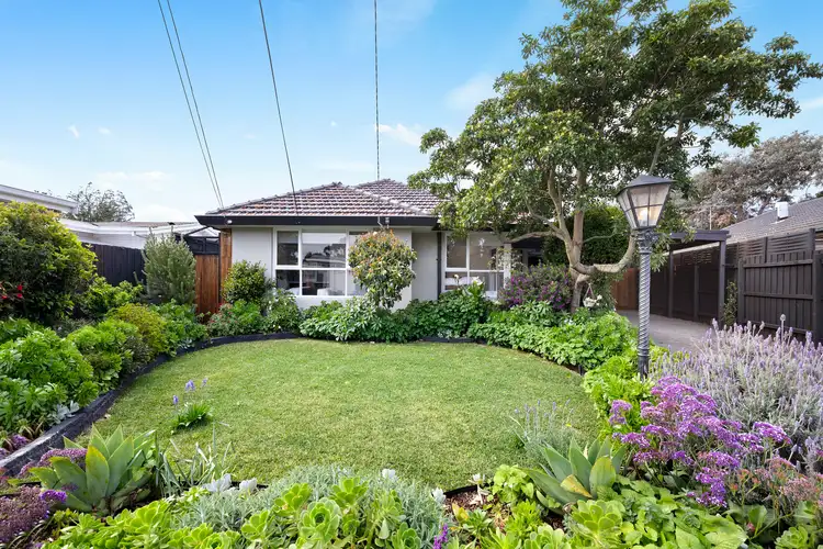 31 Albany Crescent, Aspendale VIC 3195