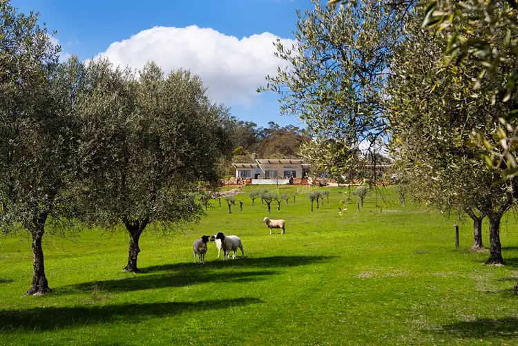 Sixth view of Homely house listing, 39 Barker Road, Harcourt North VIC 3453