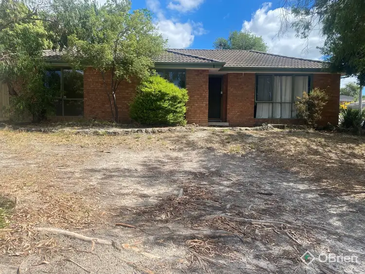 16 Lang Road, Langwarrin VIC 3910