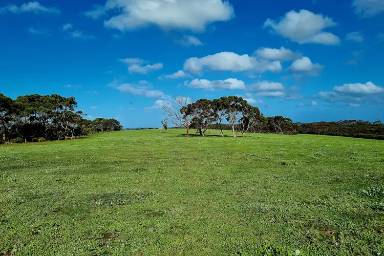 958 Crabbs Road, Newland SA 5223