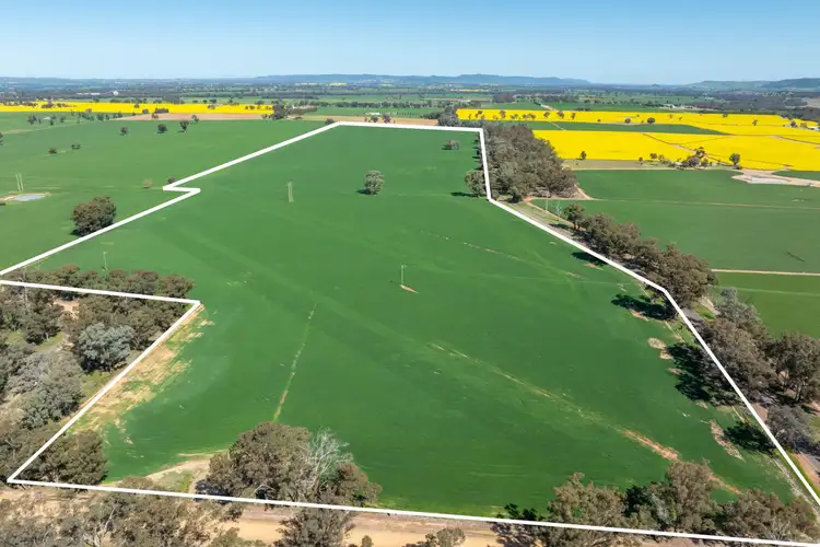 381 Chiverton Road, Cowra NSW 2794
