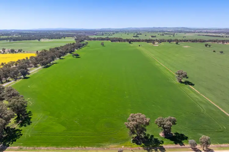 Second view of Homely rural property listing, 381 Chiverton Road, Cowra NSW 2794