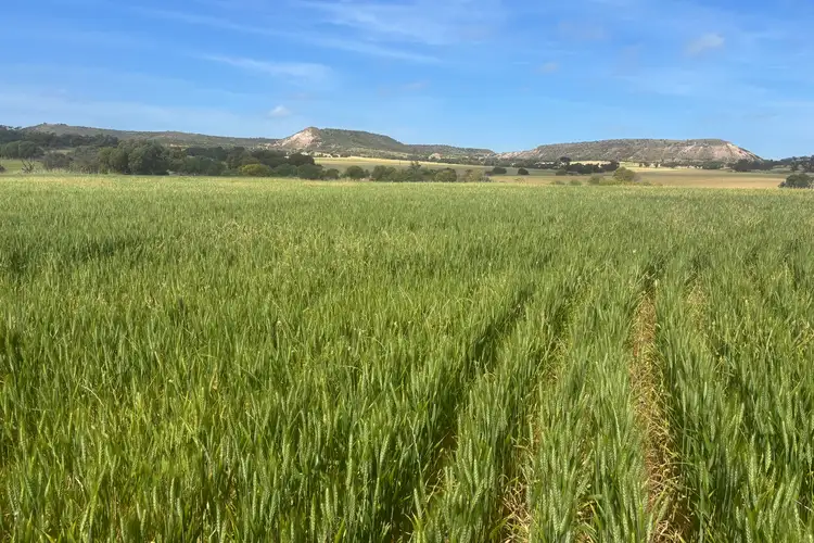 Lot 72 Oakajee Road, Howatharra WA 6532