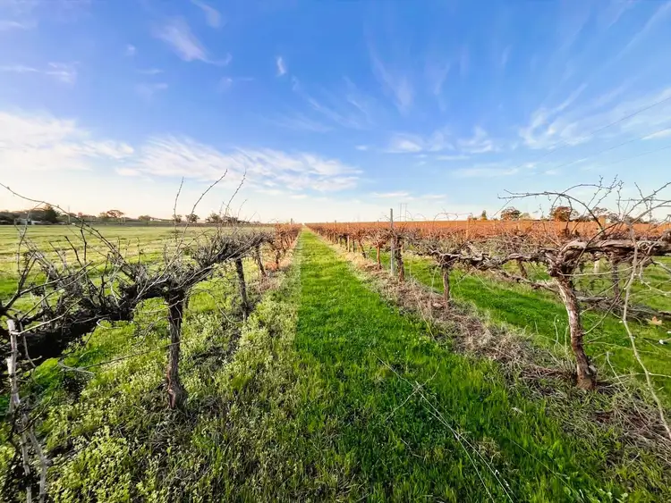 Third view of Homely land listing, 106 Anderson Lane, Cowra NSW 2794