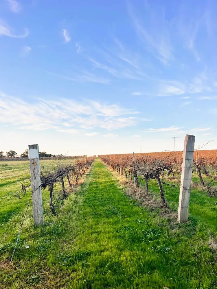 Fourth view of Homely land listing, 106 Anderson Lane, Cowra NSW 2794