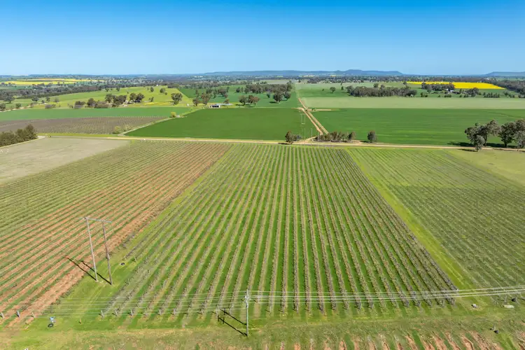 Fifth view of Homely land listing, 106 Anderson Lane, Cowra NSW 2794