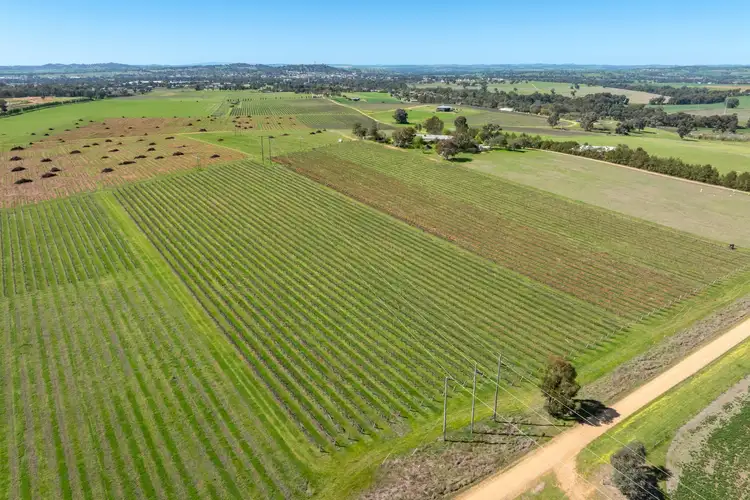 Sixth view of Homely land listing, 106 Anderson Lane, Cowra NSW 2794