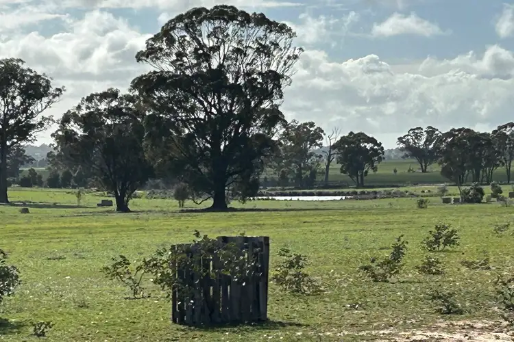 Second view of Homely rural property listing, Allotment 1a, Section 11, Dunolly-Orville Road, Murphys Creek VIC 3551