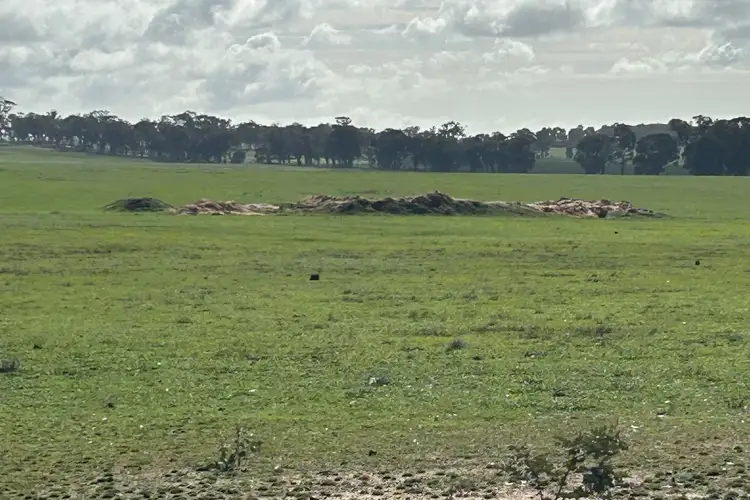 Fifth view of Homely rural property listing, Allotment 1a, Section 11, Dunolly-Orville Road, Murphys Creek VIC 3551