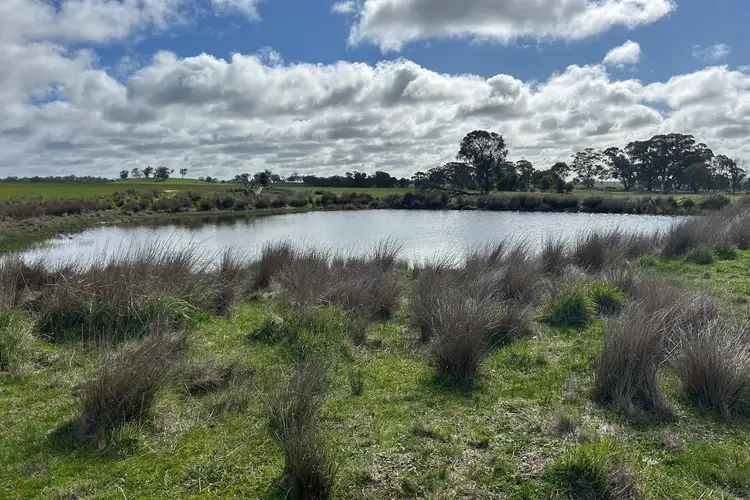 Sixth view of Homely rural property listing, Allotment 1a, Section 11, Dunolly-Orville Road, Murphys Creek VIC 3551