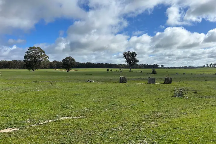 Seventh view of Homely rural property listing, Allotment 1a, Section 11, Dunolly-Orville Road, Murphys Creek VIC 3551
