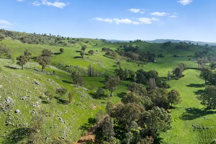 Sugarloaf Road, Sheans Creek VIC 3666