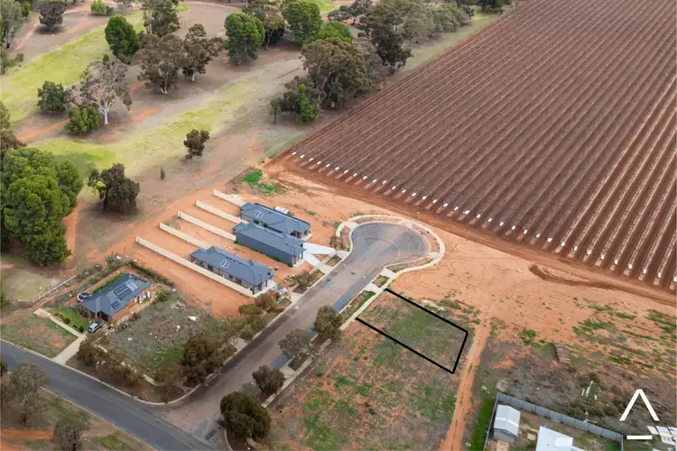 6 Carrazza Court, Robinvale VIC 3549