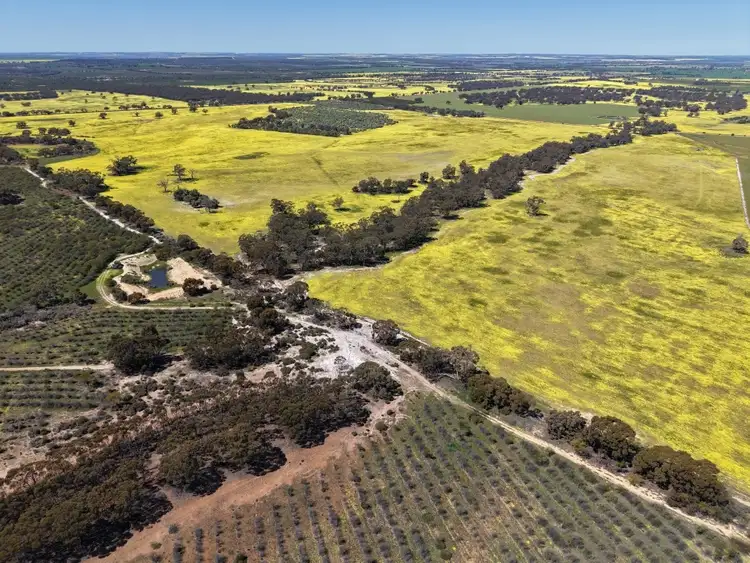 184 Ewert Road, Morbinning WA 6304