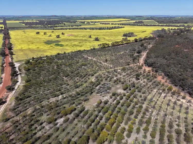 Seventh view of Homely rural property listing, 184 Ewert Road, Morbinning WA 6304