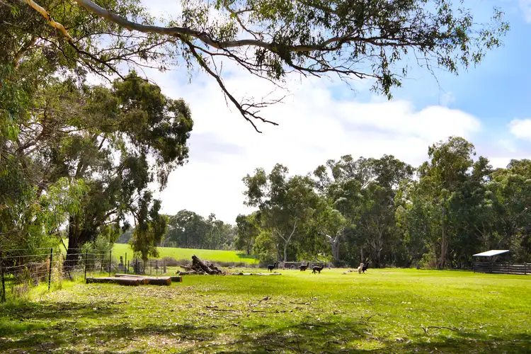 Second view of Homely land listing, Lot 1, 67A Lyons Street, Newstead VIC 3462