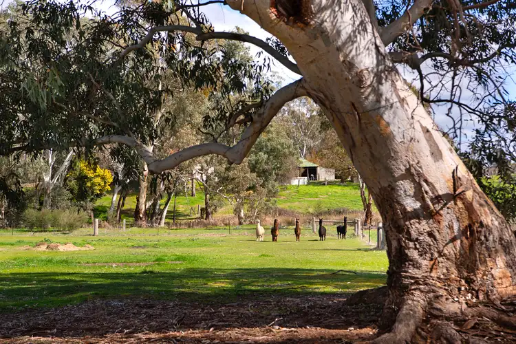 Fifth view of Homely land listing, Lot 1, 67A Lyons Street, Newstead VIC 3462