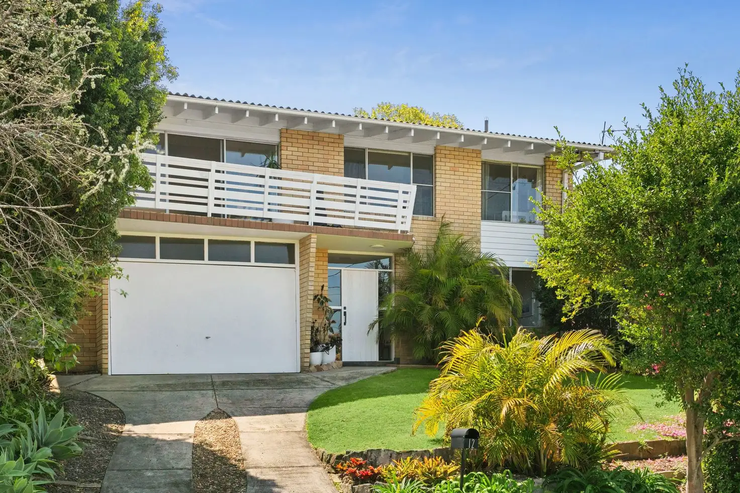 Main view of Homely house listing, 12 Beacon Avenue, Beacon Hill NSW 2100