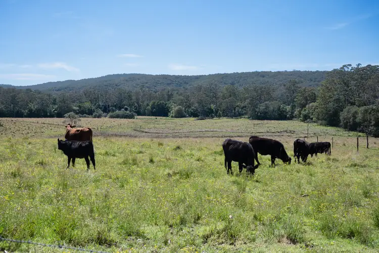 Sixth view of Homely rural property listing, 111-112 Browns Road, Mandalong NSW 2264