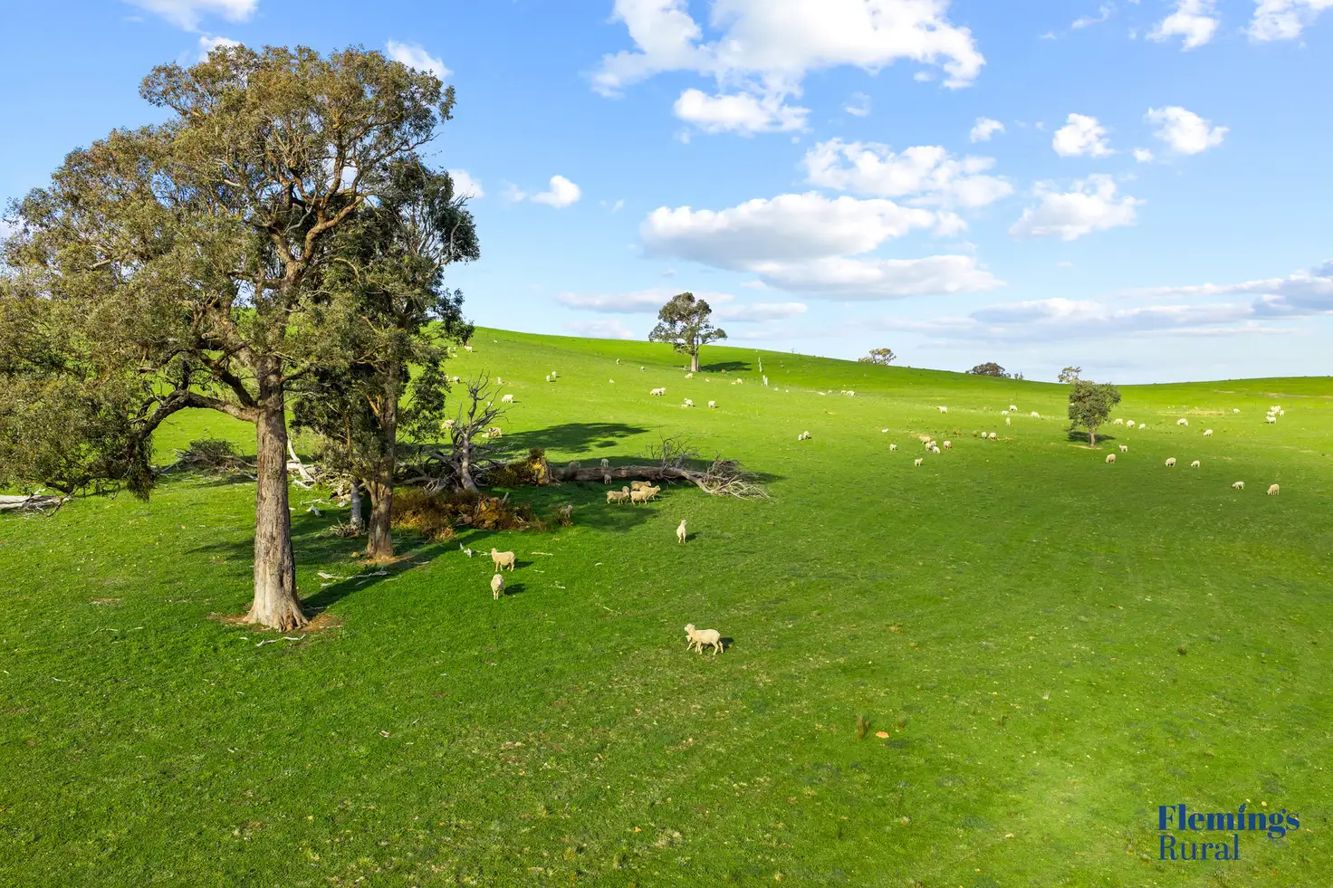 Main view of Homely rural property listing, 890 Perks Road, Rugby NSW 2583