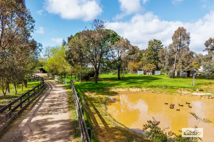 Fourth view of Homely rural property listing, 644 Chiltern - Barnawartha Road, Barnawartha VIC 3688