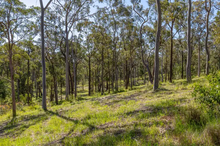 Sixth view of Homely rural property listing, 35 Grandview Close, Clarence Town NSW 2321
