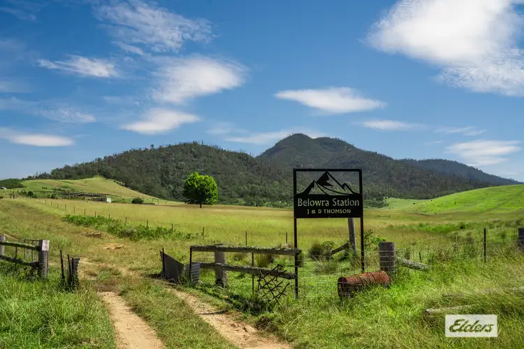 2493-2495 Belowra Road, Belowra NSW 2545