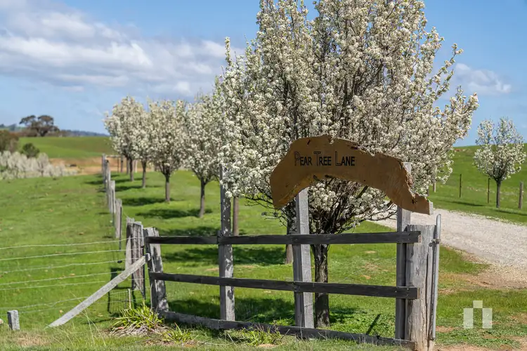 Sixth view of Homely house listing, 130 Lemarne Road, Broadford VIC 3658