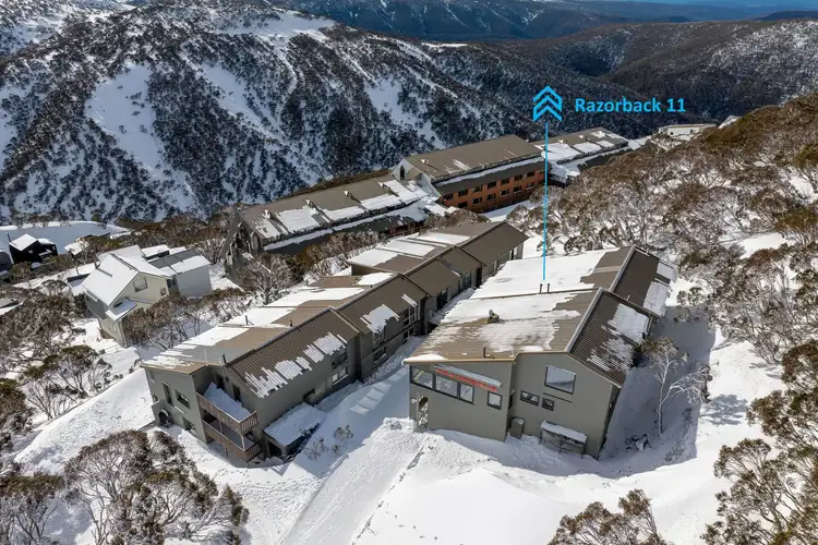11 Razorback, Mount Hotham VIC 3741