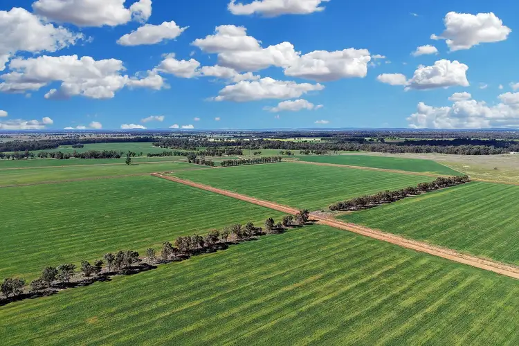 4005 Lachlan Valley Way, Forbes NSW 2871
