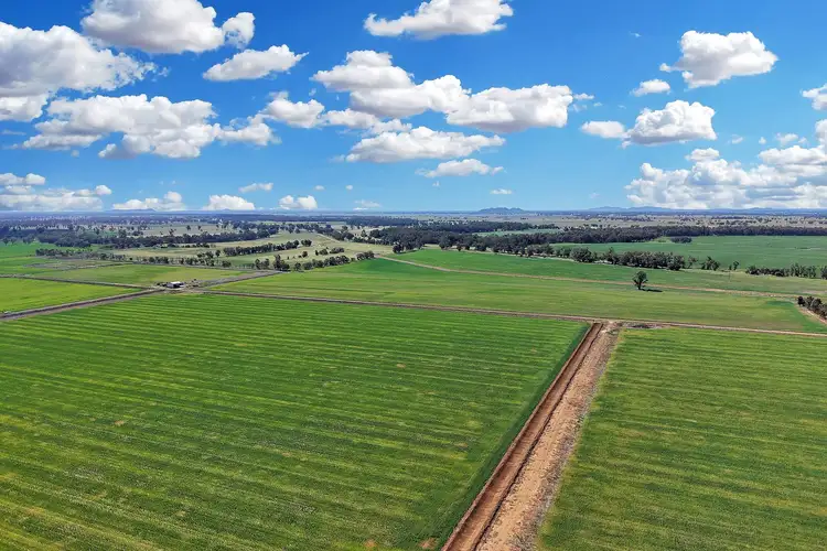 Second view of Homely rural property listing, 4005 Lachlan Valley Way, Forbes NSW 2871