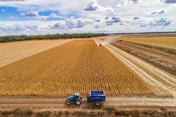 Third view of Homely rural property listing, 4005 Lachlan Valley Way, Forbes NSW 2871