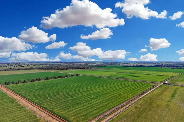 Fourth view of Homely rural property listing, 4005 Lachlan Valley Way, Forbes NSW 2871