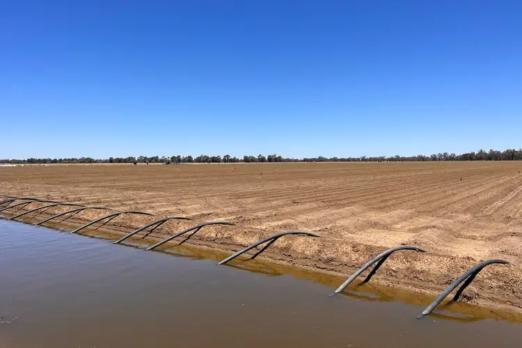 Fifth view of Homely rural property listing, 4005 Lachlan Valley Way, Forbes NSW 2871