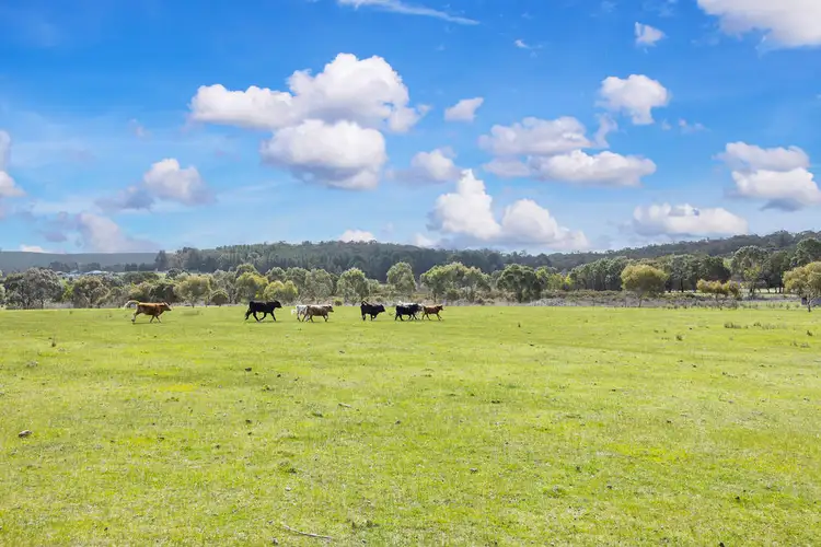 Fifth view of Homely house listing, 1938 Glenelg Highway, Scarsdale VIC 3351
