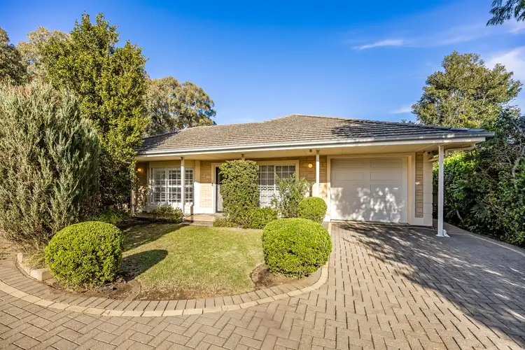 16 Evans Avenue, Mitcham SA 5062