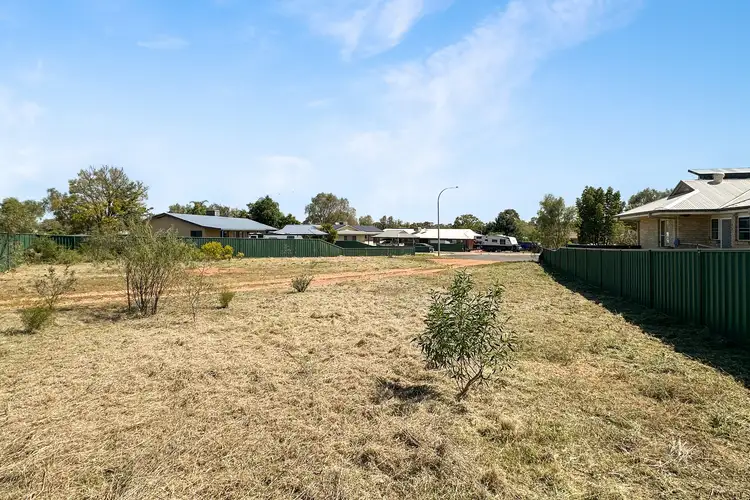 7 Hogan Place, Cobar NSW 2835