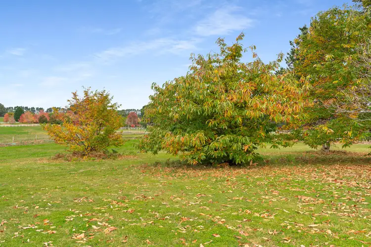 Fifth view of Homely land listing, LOT 6, 50 Bumballa Road, Wingello NSW 2579