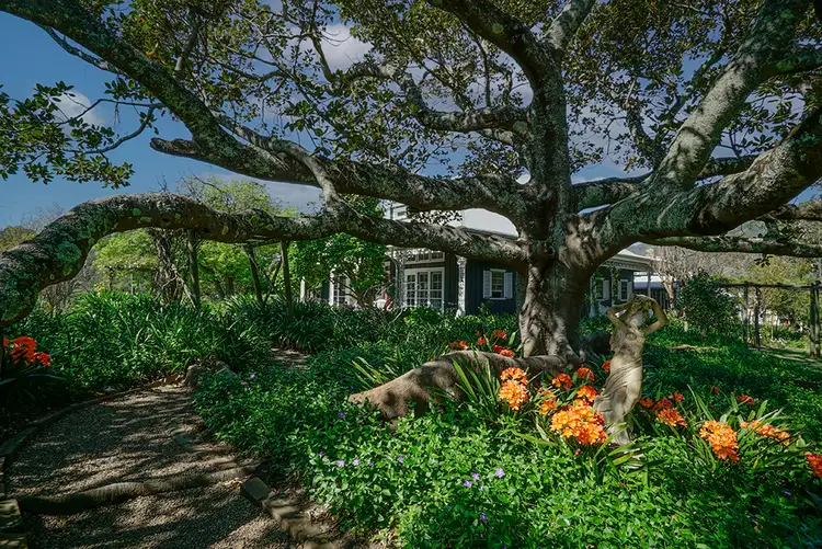 Second view of Homely rural property listing, 797 Allyn River Road, East Gresford NSW 2311