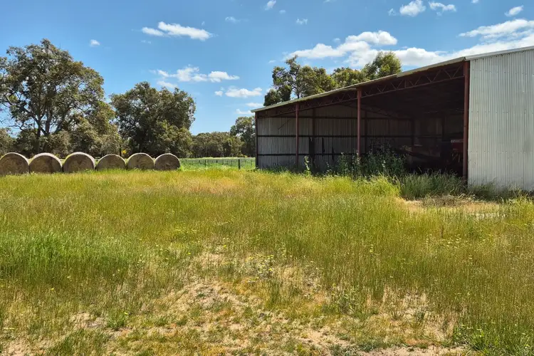 Third view of Homely rural property listing, 4 Pin Pin Road, Beermullah WA 6503