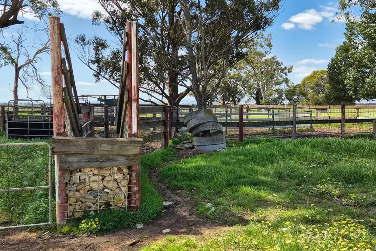 Fourth view of Homely rural property listing, 4 Pin Pin Road, Beermullah WA 6503
