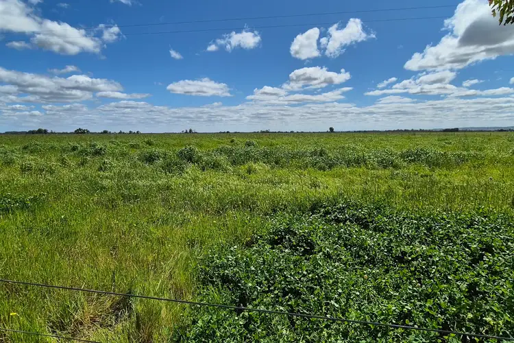 Fifth view of Homely rural property listing, 4 Pin Pin Road, Beermullah WA 6503