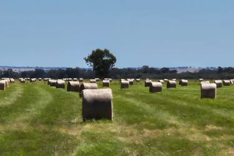 Sixth view of Homely rural property listing, 4 Pin Pin Road, Beermullah WA 6503