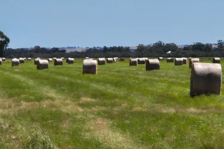 Seventh view of Homely rural property listing, 4 Pin Pin Road, Beermullah WA 6503