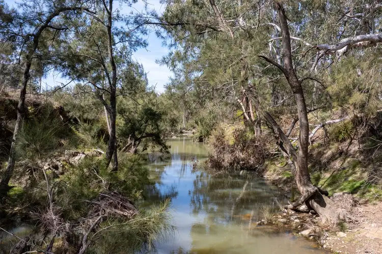 Sixth view of Homely rural property listing, Lot 179, 82 Windgraves Road, Mudgee NSW 2850
