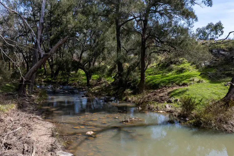 Seventh view of Homely rural property listing, Lot 179, 82 Windgraves Road, Mudgee NSW 2850