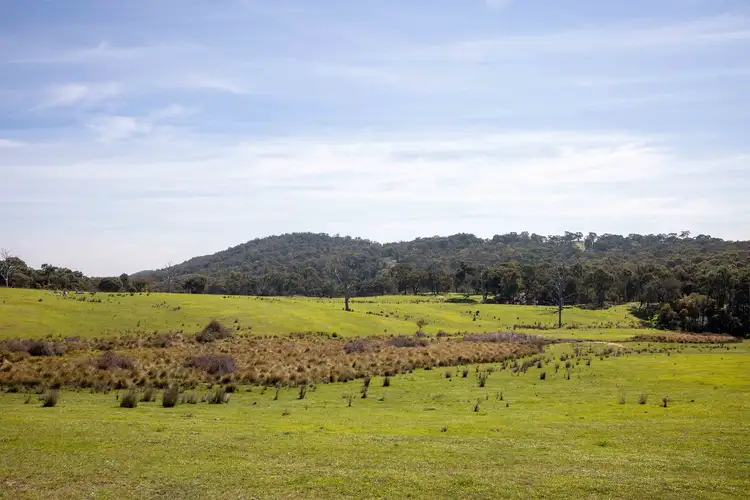 Fourth view of Homely rural property listing, 528 Gundowda Road, Mudgee NSW 2850